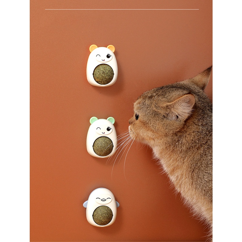 Cỏ Bạc Hà Gắn Tường Hình Gấu Cute Dễ Thương
