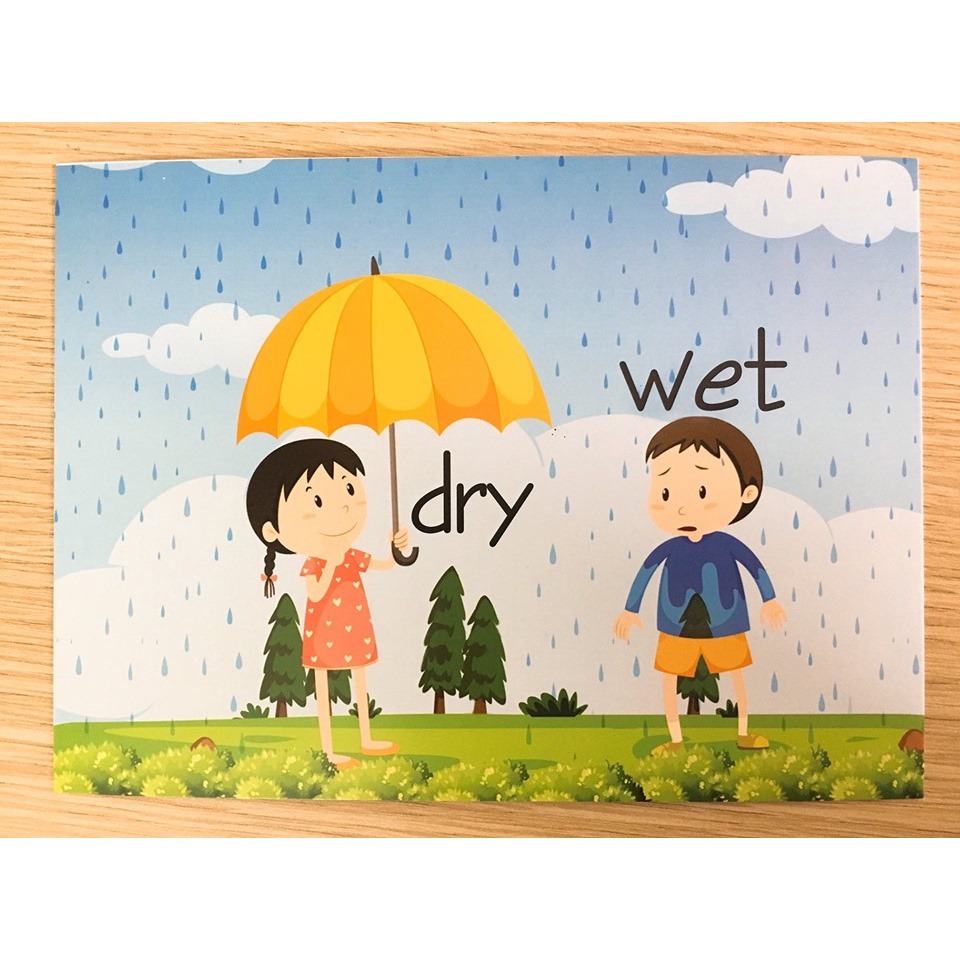 Flashcards Thẻ từ vựng Tiếng Anh trái nghĩa - 100 thẻ