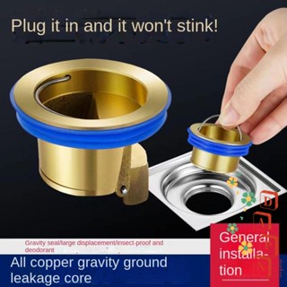 Nắp Đậy Cống Thoát Nước Sàn Nhà Tắm Chống Côn Trùng Tiện Dụng