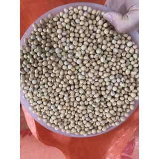 Đỗ Tương làm đậu nành, tào phớ 1 kg