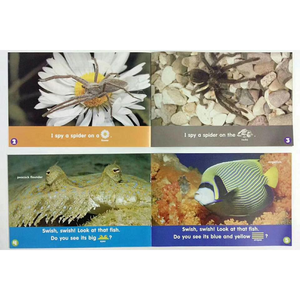 Bộ nhập- Let’s find out full 24q kèm file nghe