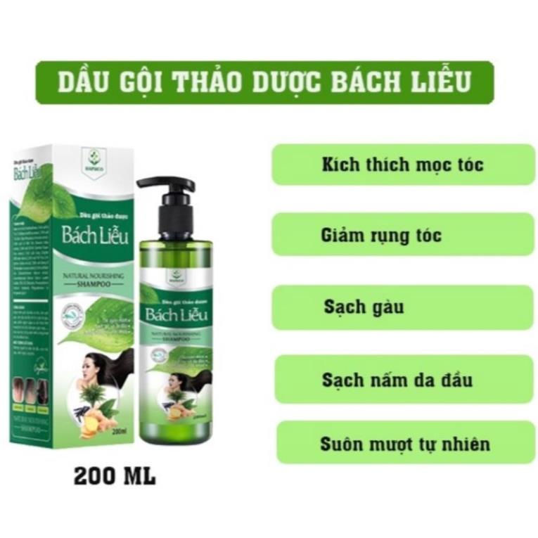 Dầu Gội Thảo Dược Bách Liễu- Dùng Cho Người Gặp Các Vấn Đề Về Da Đầu: Gàu, Nấm, Ngứa, Á S.ừng