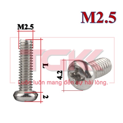 Bulong chỏm cầu nhỏ inox 304 M2.5