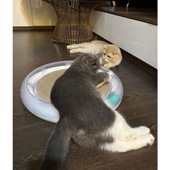 Bàn cào móng Pet kit cho chó mèo ổ nằm kiêm bàn cào đồ chơi