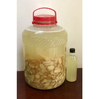 Chế phẩm hữu cơ Ge gừng, kích kie, kích rễ cho hoa lan,hoa hồng 500ml
