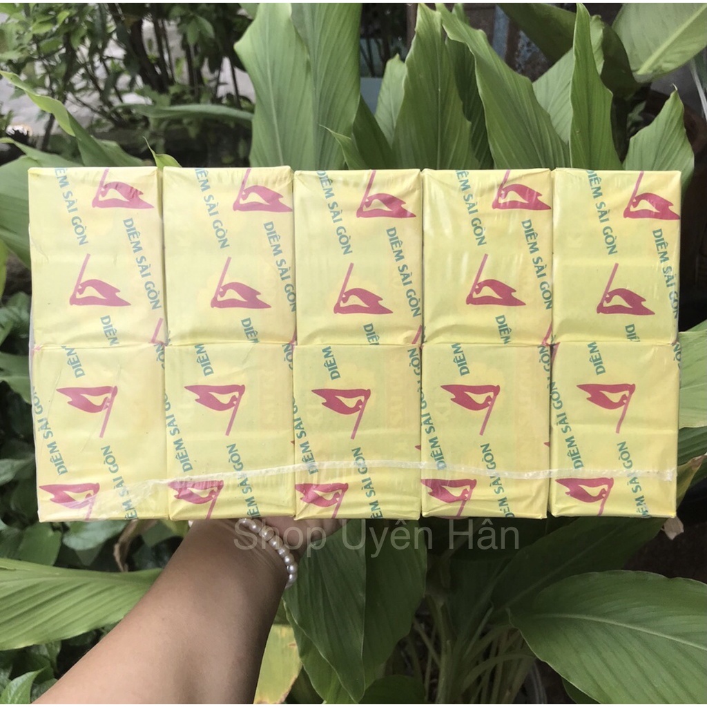 5 gói- 50 hộp - Bông Mai Sài Gòn