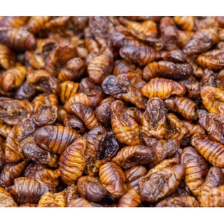 Nhộng Tầm Sấy Khô