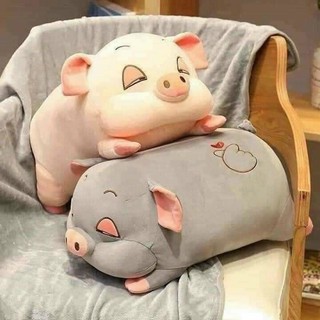 Set chăn gối lợn kute