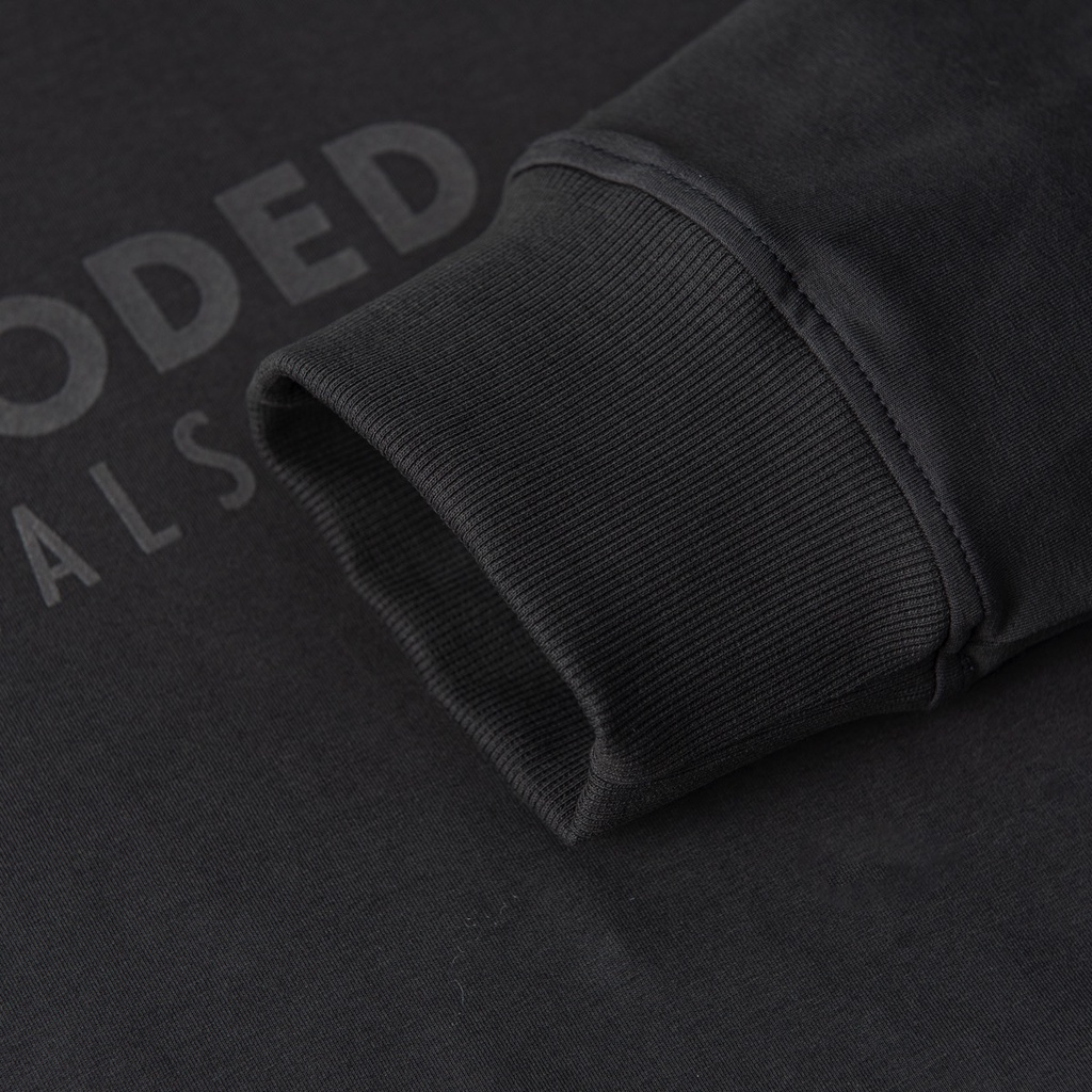 Áo nỉ da cá Hoodie Unisex dáng Basic form rộng nam nữ kiểu Essentials màu Xám chì Local brand Blue Blooded