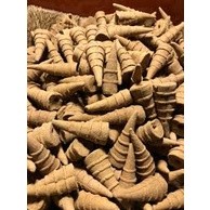 20 nụ , 100 nụ trầm nụ huế