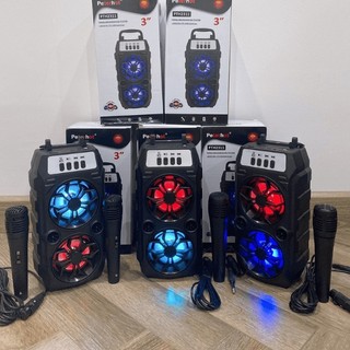 Loa Kéo Karaoke Bluetooth Mini PTH 2311