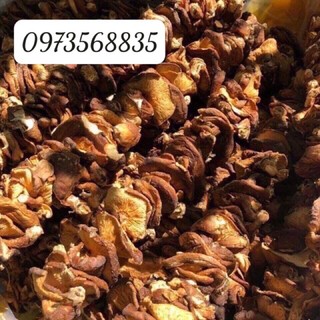 Nấm xiên que sapa