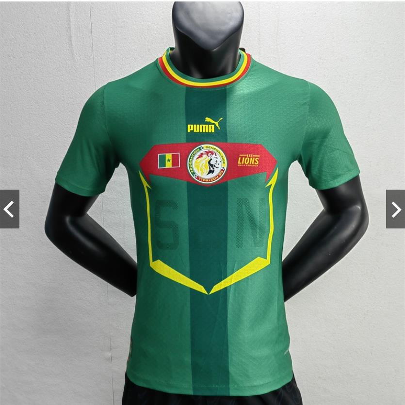 Áo Thun Thể Thao Tay Ngắn Phiên Bản 2022 Senegal away S-XXL 22-23