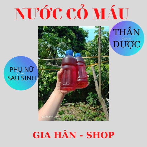 1kg Cỏ Máu Khô: Bổ máu, ăn ngon, ngủ ngon, kích thích tiêu hóa, Tăng cân tự nhiên.