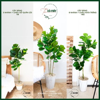 Cây bàng singapore giả 1m1 - 1m2- 1m35