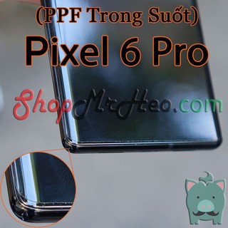 Dán Dẻo PPF Full Màn Hình Google Pixel 6 Pro - Pixel 6 5G (Trong Và Nhám)