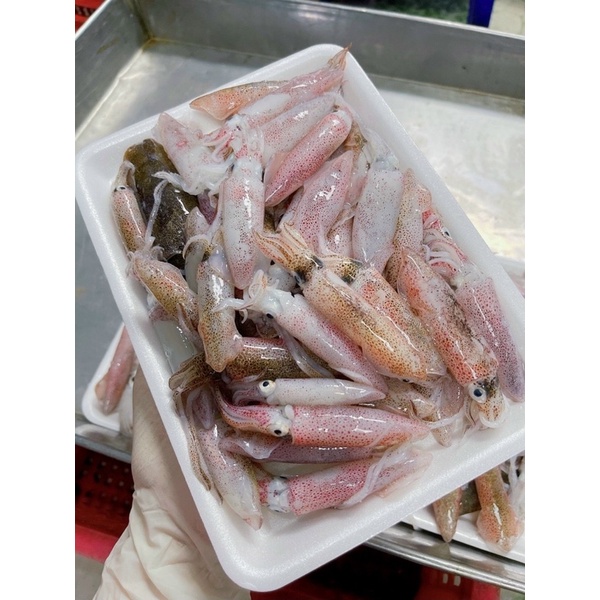 Mực sữa - 500gram
