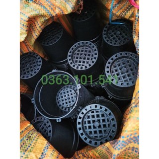 Combo 10c chậu nhựa đen trồng lan f10 - chậu nhựa đen ươm ki