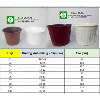 Combo 20 chậu vành cứng C5 20x15cm