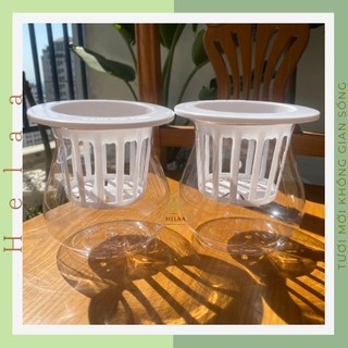Combo 5 bình trồng cây thủy sinh, chậu nhựa trồng cây thủy sinh, thủy canh, lọ trồng cây bằng nhựa trong suốt