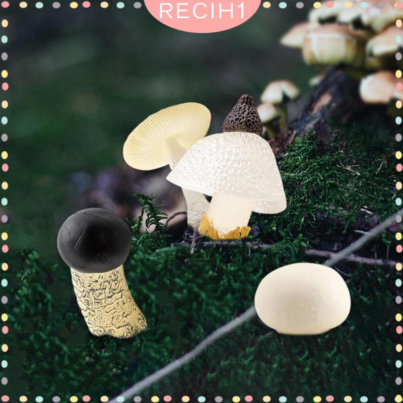 Bộ 4 Mô Hình Nấm Trang Trí Cho Ngày Và Đêm