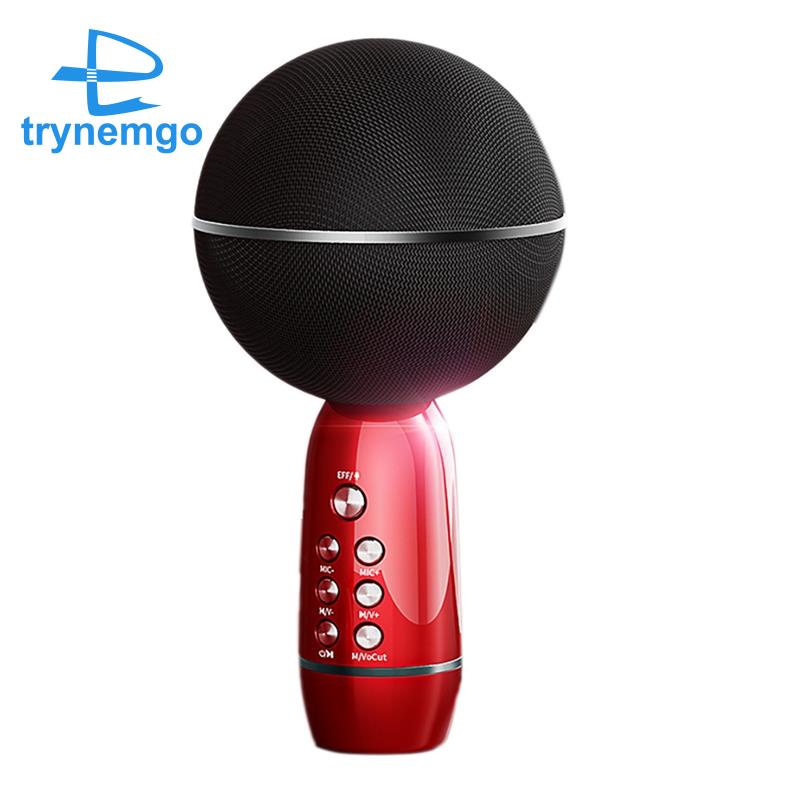 Micro Không Dây Tích Hợp Loa Ys08 Chuyên Dụng Cho Bé Và Phụ Kiện