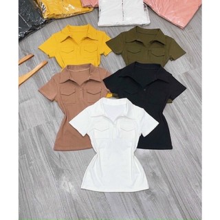 Áo thun cổ trụ , áo cổ bẻ thun borip đẹp,áo thun cổ bẻ nữ