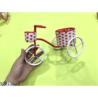 XE ĐẠP cute