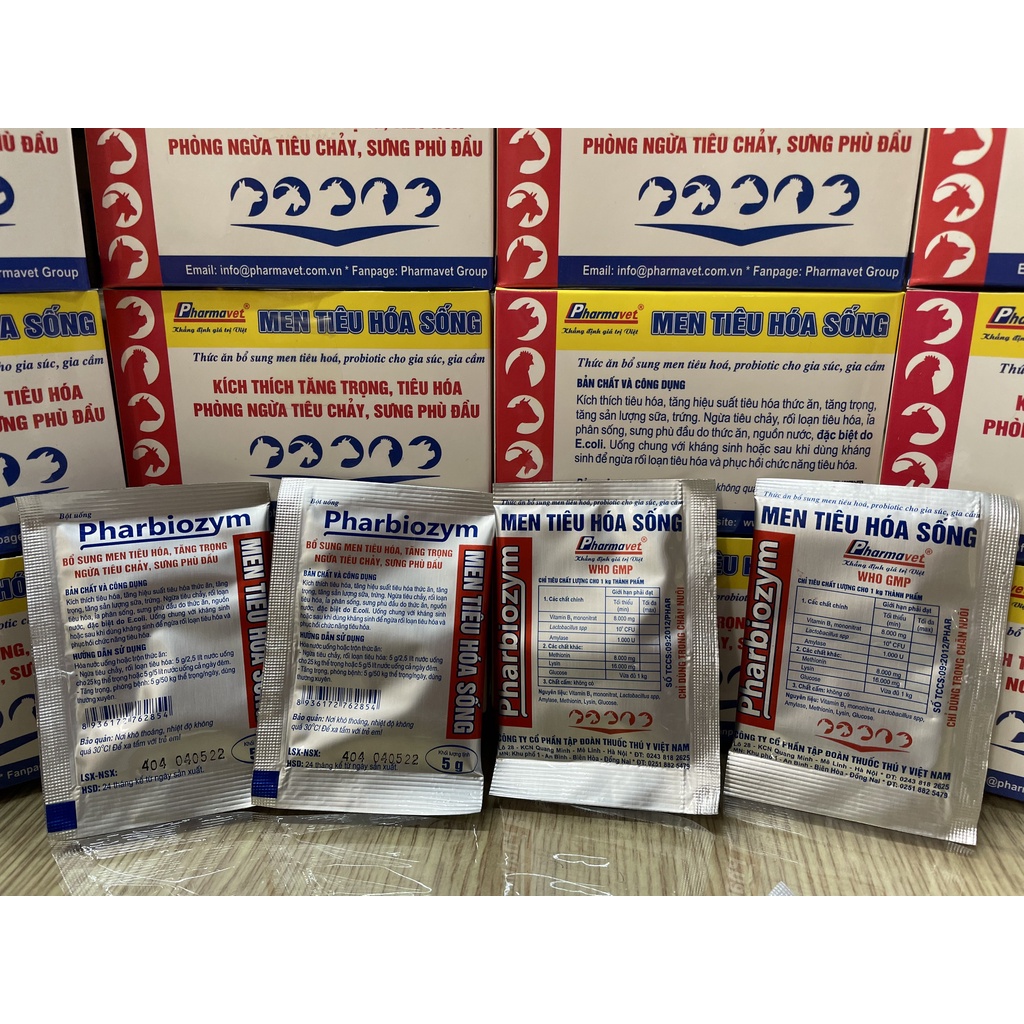 MEN TIÊU HÓA SỐNG 5g