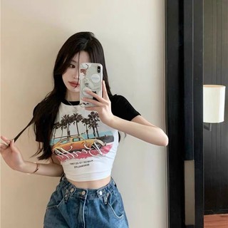 ÁO CROPTOP PHỐI TAY CÂY DỪA CCD1