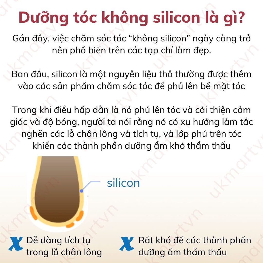Dầu Gội Xả Chiết Xuất Than Tre Và Bùn Núi Lửa Pelican 500ml Peat Stone Beauty Hair