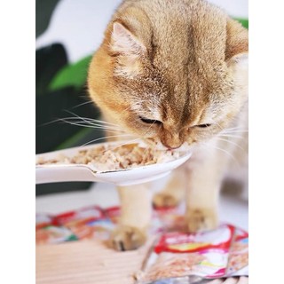 [ 60g ] Pate Ciao 7 vị cho Mèo 🐱