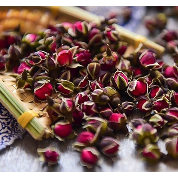 Nụ hoa hồng Tây Tạng