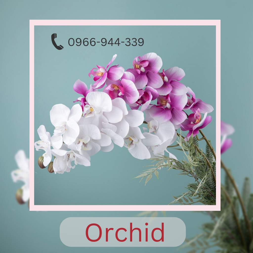 Hoa Phong lan Hoa giả Hoa lụa trang trí Tết