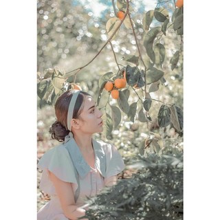 Búi phủ xoăn tóc giả đẹp (ảnh thật)