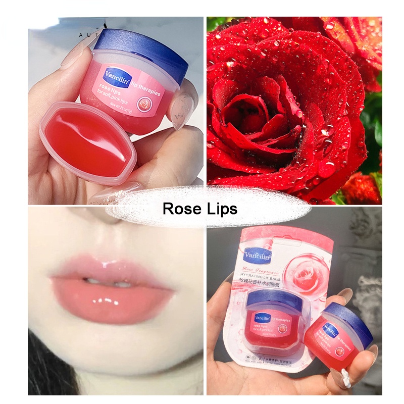 Dưỡng môi VANCILIN 7g dạng hũ LOẠI RẺ cho KHÁCH SỈ đủ vị  Sáp Son Dưỡng Môi VANCILIN Mang Lại Làn Môi Mềm