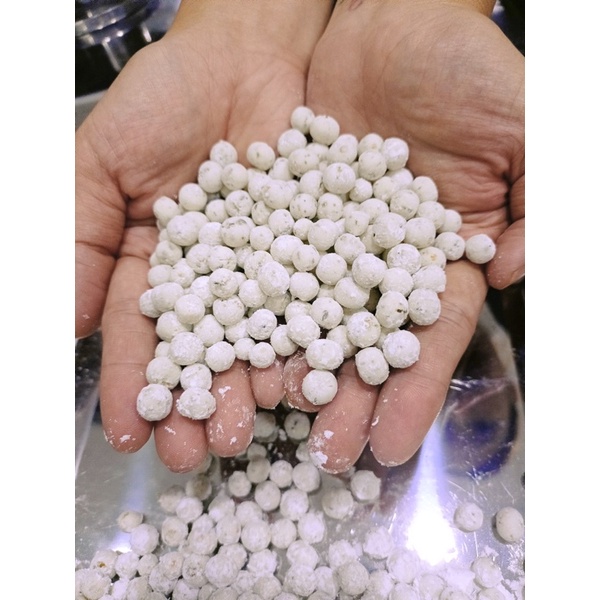 Trân châu Trà gạo rang