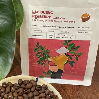 Cà phê Arabica Lạc Dương Vương Farm Honey Rang Light Pha Cold Brew Pour Over Pha thủ công