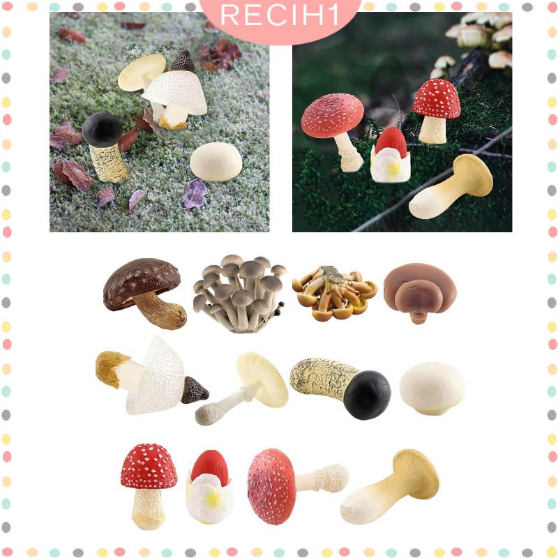 Bộ 4 Mô Hình Nấm Trang Trí Cho Ngày Và Đêm