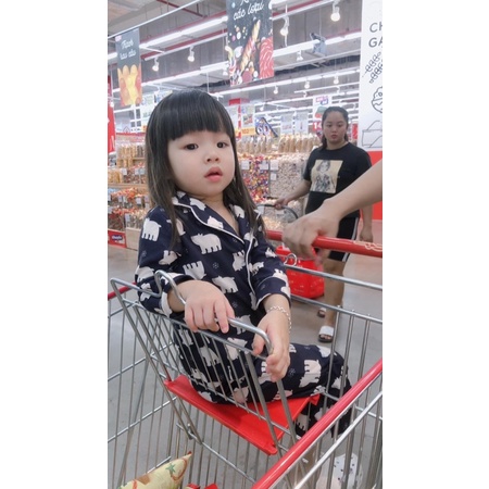 Bộ pizama xuất dư xịn cho bé 6 tháng -3 tuổi