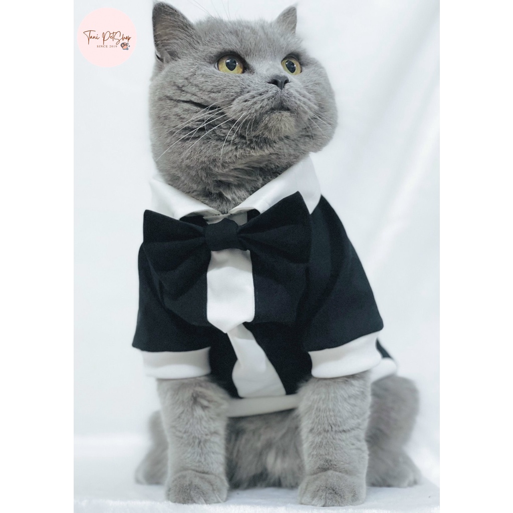Áo Vest Cho Chó Mèo - Áo Sơ Mi Đám Cưới Kèm Nơ Cho Thú Cưng Tanipetshop