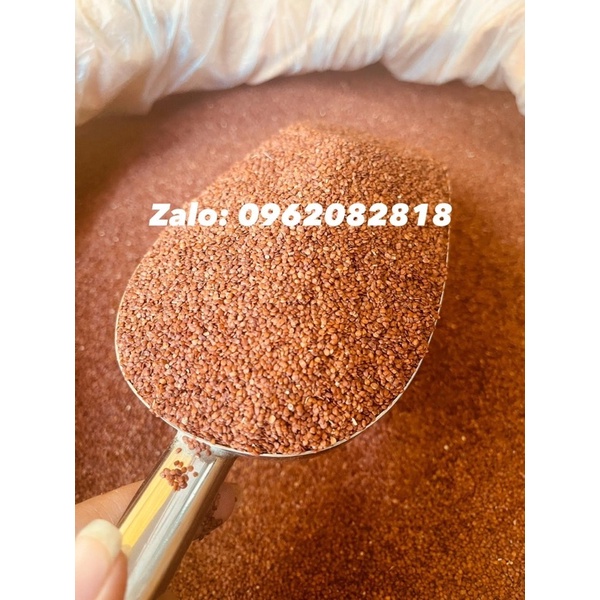 Hạt Ngũ Hoa - Hạt Đình Lịch Nguyên Chất Hạt Sạch - Kết Dính Tốt Cao Cấp Chuyên Dùng Trong Spa TMV- thienhangspa