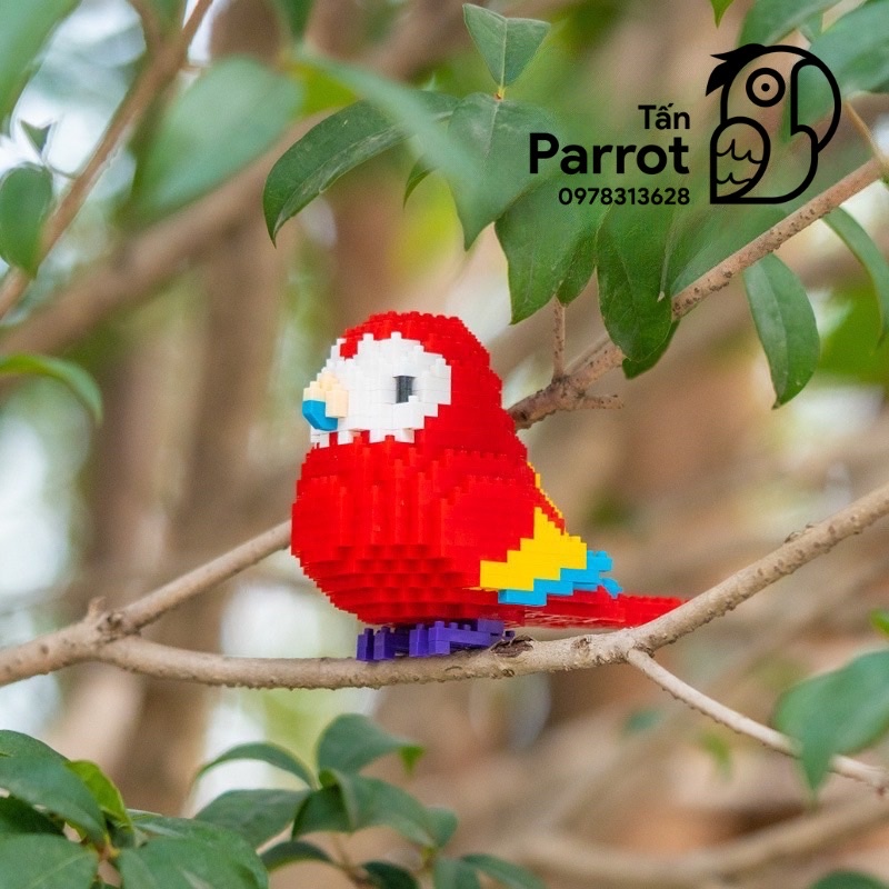 Lắp ráp Lego hình vẹt cao cấp