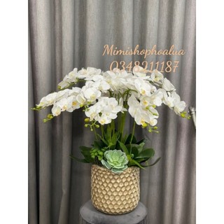 Hoa Giả- Lan Hồ Điệp chất liệu cao su - cành 7 bông