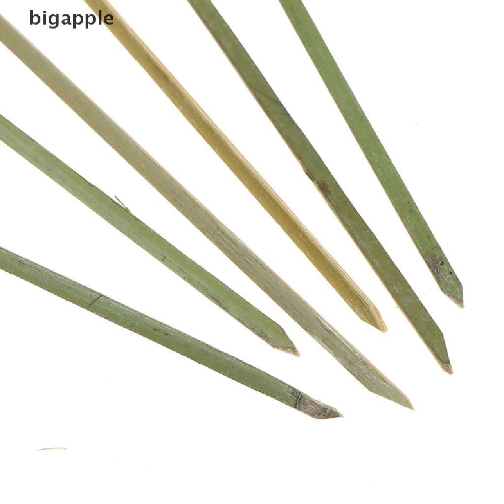 Set 100 Xiên Tre Ăn Trái Cây Tiện Lợi