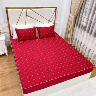 Ga chun trần phi lụa kèm 2 vỏ gối nằm