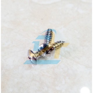 Vít gỗ đầu dù inox 304 m4x20 - m5x20