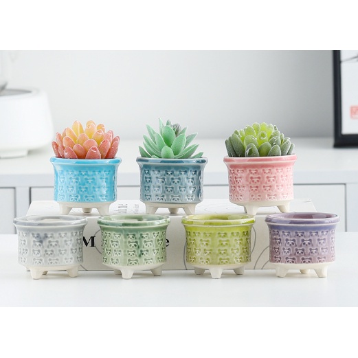 Chậu cây gốm sứ pastel hoa văn mini CHAUM5 trồng hoa sen đá cây cảnh cute trang trí decor để bàn ống bút cắm đồ