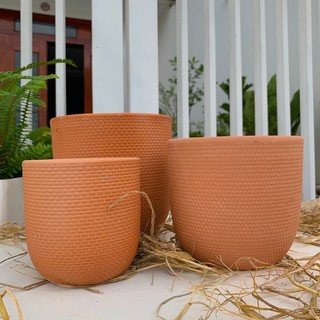 Chậu đất nung trồng cây vân nổi đủ size