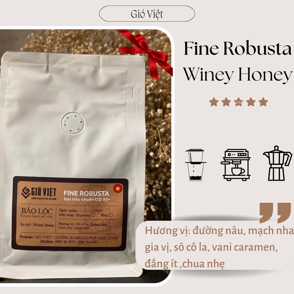 Fine Robusta winey honey Gió Việt Coffee